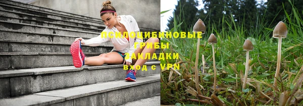 бутират Алексеевка