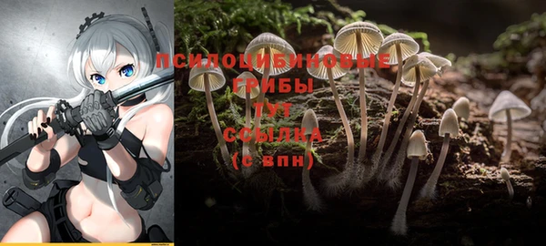 кокаин Алексин