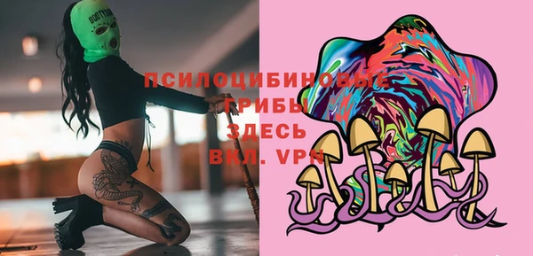 прущие грибы Вуктыл